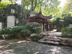 -白沙古井