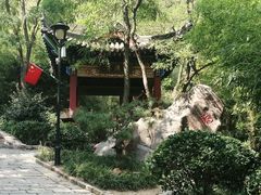 -竹子庵公园