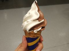 双色冰淇淋-宜家·瑞典风味餐厅(天津东丽商场店)