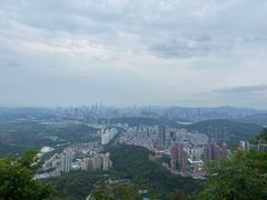 -梧桐山风景名胜区