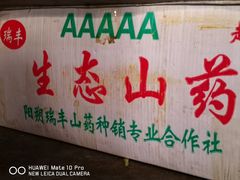 -巴壁馆(海棠花语店)