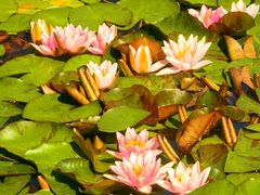 -国家植物园南园