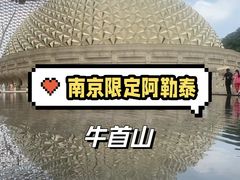 -牛首山文化旅游区