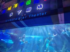 -泉城欧乐堡海洋极地世界