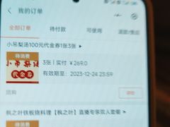 -小吊梨汤·北京菜·烤鸭(鸟巢店)