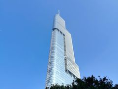 -紫峰大厦