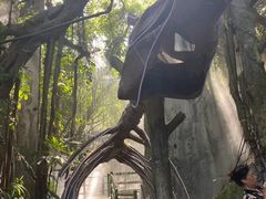 -青青世界
