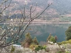 -广州市流溪河国家森林公园