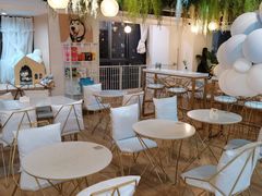 店内布置-Husky Go! 哈士奇体验馆·宠物咖啡厅狗咖
