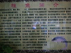 -干老四雅鱼饭店(滨江西路店)
