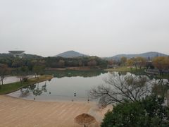 -上海佘山世茂艾美酒店