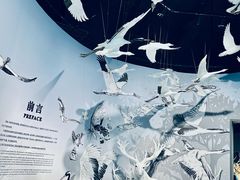 -中国湿地博物馆