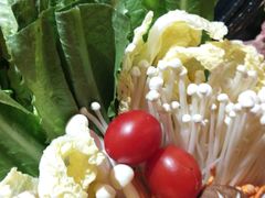 -探窝·竹笙椰子鸡(杨箕店)