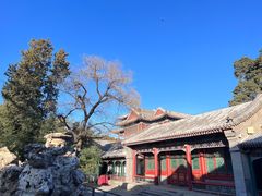 -颐和园