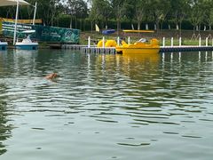 -太阳岛度假酒店