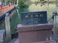 -靖西鹅泉风景区