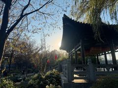 -洛阳市隋唐城遗址植物园
