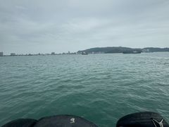 -广东惠东海龟国家级自然保护区