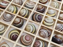 -摩登百货(岗顶店)