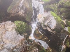 -太平万花山景区