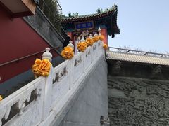 -八大处公园