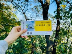 -灵顺寺