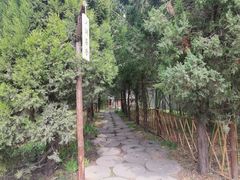 -洛阳白马寺