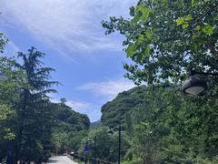 -少华山国家森林公园