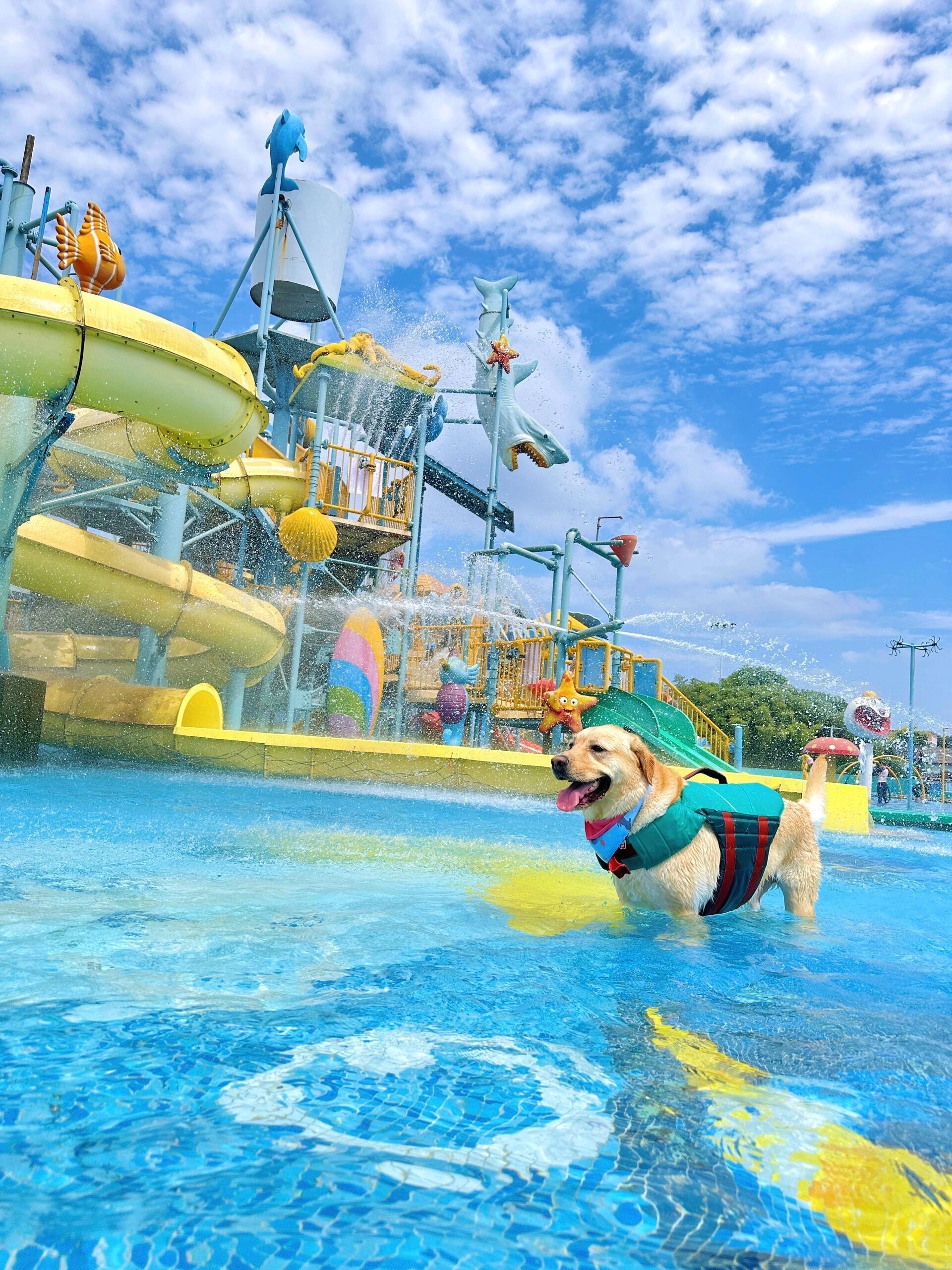 水上乐趣享不停