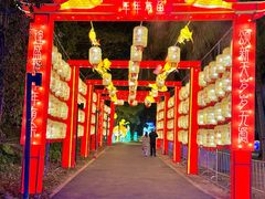 -欢乐海岸椰林沙滩-2025湾区超级灯会