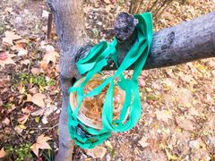 轻甜奶油冷萃-星巴克(南京同曦万尚城店)