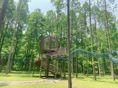 -黄海国家森林公园