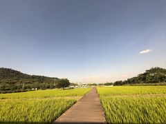 -艾米稻香小镇