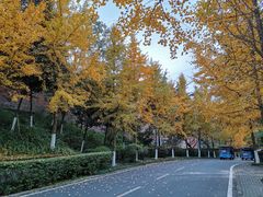 -重庆工商大学(南岸校区)