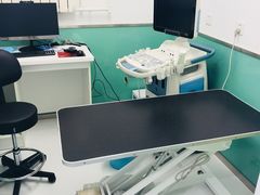 -欧奕国际动物医院