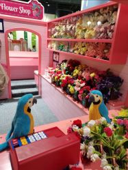 -幻贝家儿童乐园(杭州远洋乐堤港店)