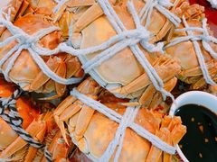 -呼吸森林·生态农庄农家乐私房菜