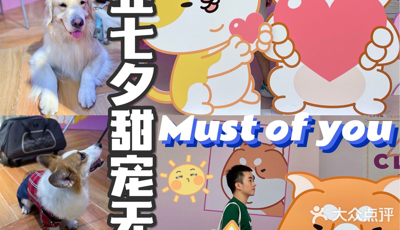 茂业百货萌宠无限丨ta们陪你过