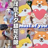 茂业百货萌宠无限丨ta们陪你过