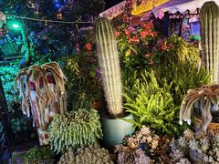 -山菌美食苑(振兴路店)