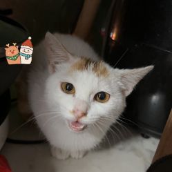 -深圳春天阳光医院·轮廓抗衰中心