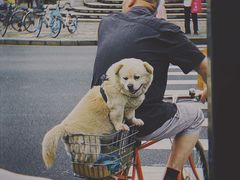 -纽斯桑拿会所(东绣路店)
