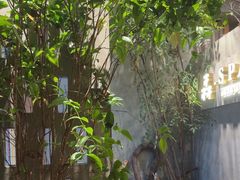 -森SPA·泰式按摩·精油Massage(宝安中心店)