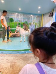 -酷嗒动物文化乐园(cutezoo西溪乐天城店)