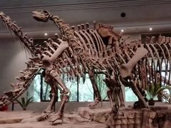 -自贡恐龙博物馆