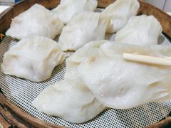 -马大刚白记包子