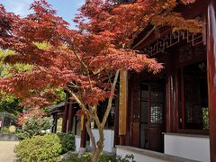 -交大留园(东川路店)
