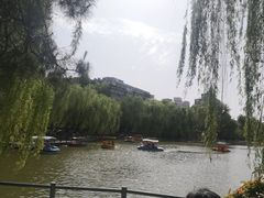 -莲湖公园