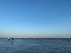-南汇新城海滩