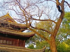 -西园戒幢律寺